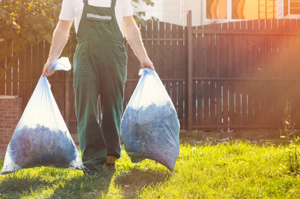 Best Same-Day Junk Removal Services  in Sterling, VA